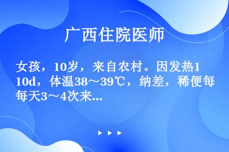 女孩，10岁，来自农村。因发热10d，体温38～39℃，纳差，稀便每天3～4次来诊。体检：体温39℃...