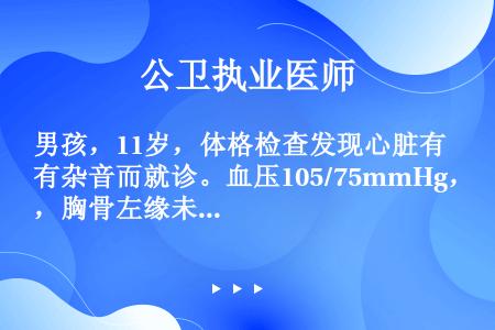 男孩，11岁，体格检查发现心脏有杂音而就诊。血压105/75mmHg，胸骨左缘未扪及震颤，在左侧第2...