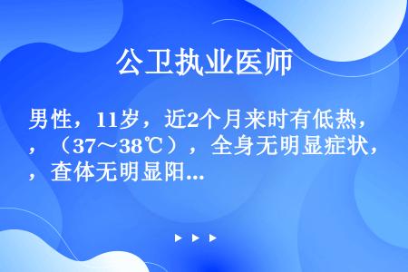 男性，11岁，近2个月来时有低热，（37～38℃），全身无明显症状，查体无明显阳性体征，X线检查发现...