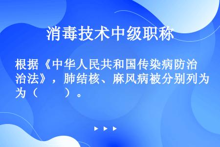 根据《中华人民共和国传染病防治法》，肺结核、麻风病被分别列为（　　）。