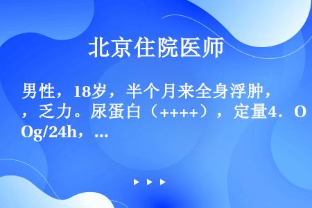 男性，18岁，半个月来全身浮肿，乏力。尿蛋白（++++），定量4．Og/24h，沉渣镜检偶见红细胞和...