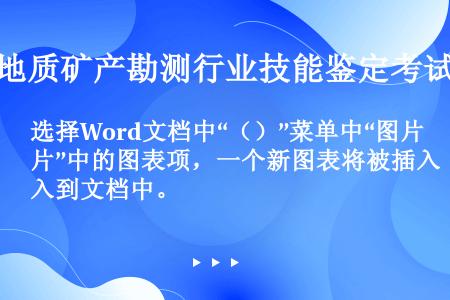 选择Word文档中“（）”菜单中“图片”中的图表项，一个新图表将被插入到文档中。