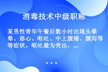 某男性青年午餐后数小时出现头晕、恶心、呕吐、中上腹痛、腹泻等症状。呕吐最为突出，呕吐物接种到血液琼脂...