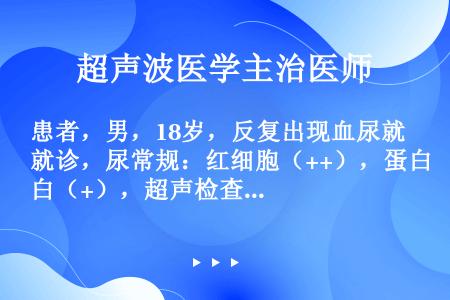 患者，男，18岁，反复出现血尿就诊，尿常规：红细胞（++），蛋白（+），超声检查所见：双肾大小形态正...