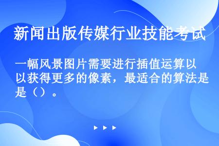 一幅风景图片需要进行插值运算以获得更多的像素，最适合的算法是（）。