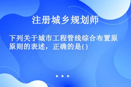 下列关于城市工程管线综合布置原则的表述，正确的是( )