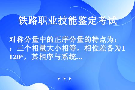 对称分量中的正序分量的特点为：三个相量大小相等，相位差各为120°，其相序与系统正常运行方式的相序（...