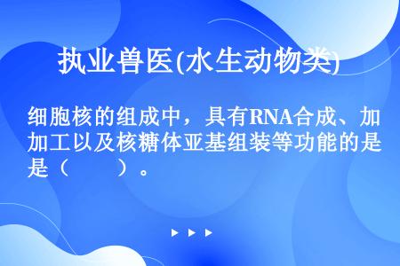 细胞核的组成中，具有RNA合成、加工以及核糖体亚基组装等功能的是（　　）。