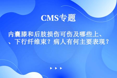 内囊膝和后肢损伤可伤及哪些上、下行纤维束？病人有何主要表现？