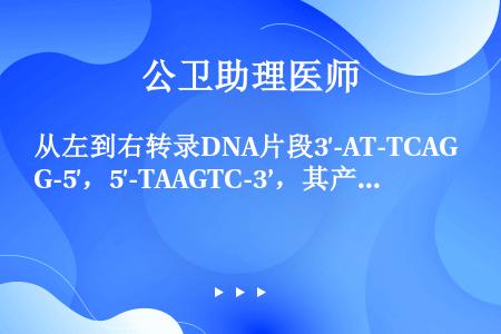 从左到右转录DNA片段3′-AT-TCAG-5′，5′-TAAGTC-3’，其产物为（）