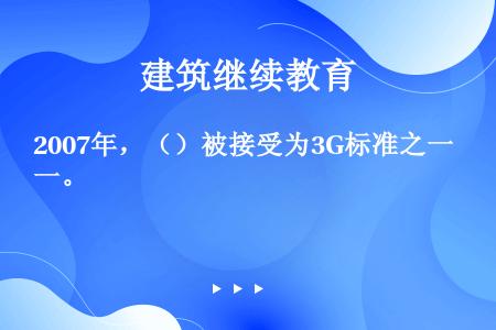 2007年，（）被接受为3G标准之一。