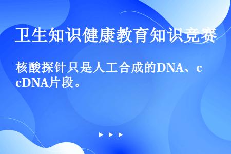 核酸探针只是人工合成的DNA、cDNA片段。