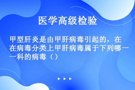 甲型肝炎是由甲肝病毒引起的，在病毒分类上甲肝病毒属于下列哪一科的病毒（）