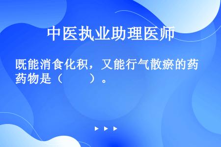 既能消食化积，又能行气散瘀的药物是（　　）。