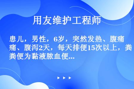 患儿，男性，6岁，突然发热、腹痛、腹泻2天，每天排便15次以上，粪便为黏液脓血便。入院查体：体温39...