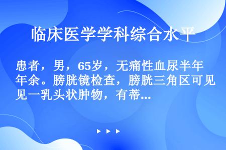 患者，男，65岁，无痛性血尿半年余。膀胱镜检查，膀胱三角区可见一乳头状肿物，有蒂。活检报告为乳头状瘤...