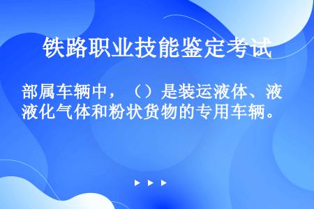 部属车辆中，（）是装运液体、液化气体和粉状货物的专用车辆。