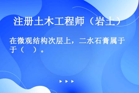 在微观结构次层上，二水石膏属于（　）。