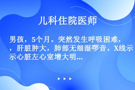 男孩，5个月。突然发生呼吸困难，肝脏肿大，肺部无细湿啰音。X线示心脏左心室增大明显，左心缘搏动减弱。...