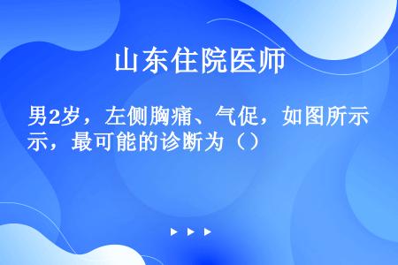 男2岁，左侧胸痛、气促，如图所示，最可能的诊断为（）