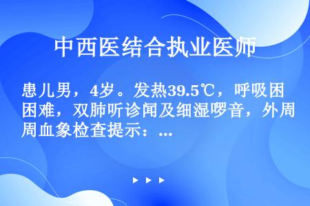 患儿男，4岁。发热39.5℃，呼吸困难，双肺听诊闻及细湿啰音，外周血象检查提示：白细胞计数11×10...