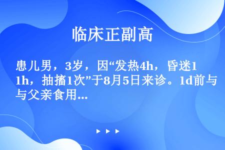 患儿男，3岁，因“发热4h，昏迷1h，抽搐1次”于8月5日来诊。1d前与父亲食用未洗净的香瓜，其父亲...