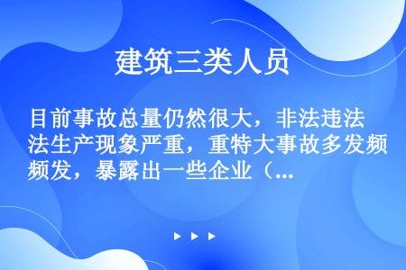 目前事故总量仍然很大，非法违法生产现象严重，重特大事故多发频发，暴露出一些企业（），一些地方和部门安...