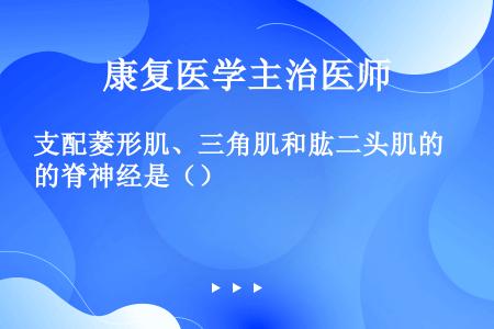 支配菱形肌、三角肌和肱二头肌的脊神经是（）