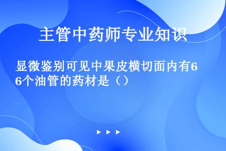 显微鉴别可见中果皮横切面内有6个油管的药材是（）