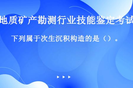 下列属于次生沉积构造的是（）。