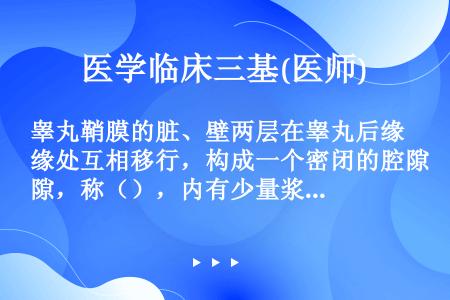 睾丸鞘膜的脏、壁两层在睾丸后缘处互相移行，构成一个密闭的腔隙，称（），内有少量浆液。