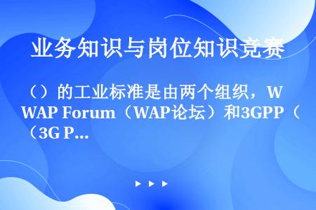 （）的工业标准是由两个组织，WAP Forum（WAP论坛）和3GPP（3G Partnership...