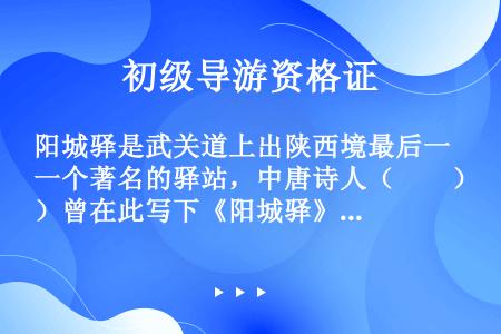 阳城驿是武关道上出陕西境最后一个著名的驿站，中唐诗人（　　）曾在此写下《阳城驿》长诗，首议主张阳城驿...