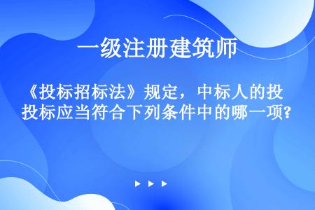 《投标招标法》规定，中标人的投标应当符合下列条件中的哪一项?