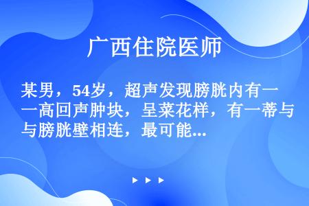 某男，54岁，超声发现膀胱内有一高回声肿块，呈菜花样，有一蒂与膀胱壁相连，最可能的诊断是（）