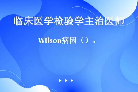 Wilson病因（）。