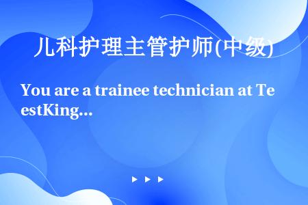 You are a trainee technician at TestKing, Inc. You...