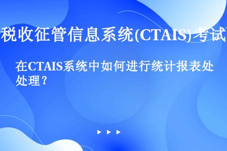 在CTAIS系统中如何进行统计报表处理？