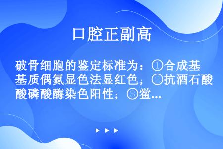 破骨细胞的鉴定标准为：①合成基质偶氮显色法显红色；②抗酒石酸磷酸酶染色阳性；③鲎试验阳性；④细胞表面...