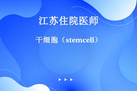 干细胞（stemcell）