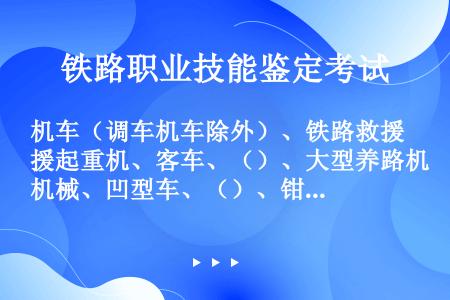 机车（调车机车除外）、铁路救援起重机、客车、（）、大型养路机械、凹型车、（）、钳夹车及其他涂有禁止上...