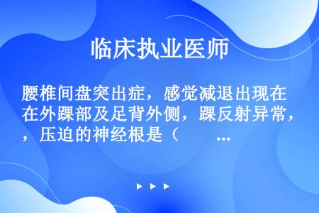 腰椎间盘突出症，感觉减退出现在外踝部及足背外侧，踝反射异常，压迫的神经根是（　　）。