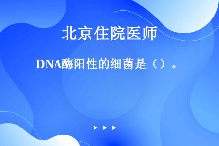 DNA酶阳性的细菌是（）。