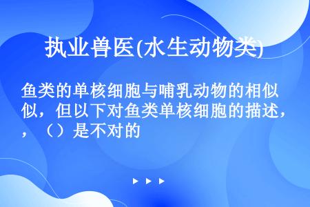 鱼类的单核细胞与哺乳动物的相似，但以下对鱼类单核细胞的描述，（）是不对的