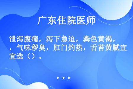 泄泻腹痛，泻下急迫，粪色黄褐，气味秽臭，肛门灼热，舌苔黄腻宜选（）。