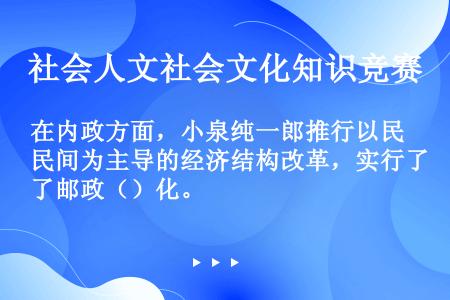 在内政方面，小泉纯一郎推行以民间为主导的经济结构改革，实行了邮政（）化。