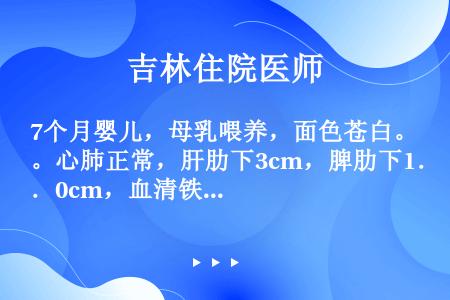 7个月婴儿，母乳喂养，面色苍白。心肺正常，肝肋下3cm，脾肋下1．0cm，血清铁30μg/dl，Hb...