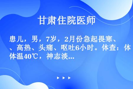 患儿，男，7岁，2月份急起畏寒、高热、头痛、呕吐6小时。体查：体温40℃，神志淡漠，全身皮肤粘膜有散...