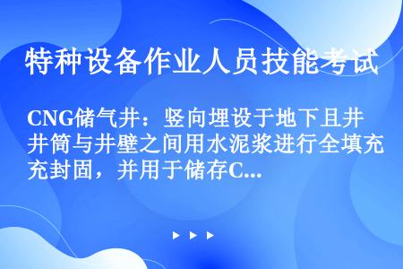 CNG储气井：竖向埋设于地下且井筒与井壁之间用水泥浆进行全填充封固，并用于储存CNG的管状设施，由井...