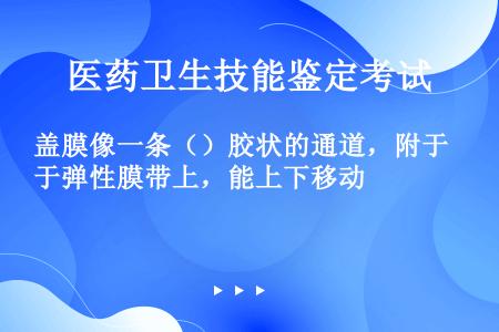 盖膜像一条（）胶状的通道，附于弹性膜带上，能上下移动